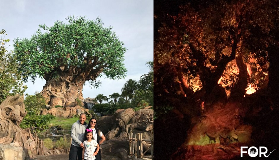 Disney's Animal Kingdom_Tree of Life